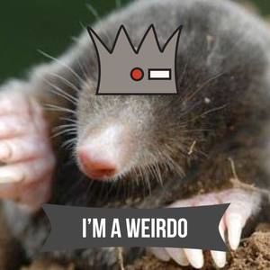 Meet your Posher, Topo